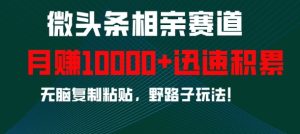 微头条相亲赛道,迅速积累,无脑复制粘贴,野路子玩法,月入1w-王总副业网