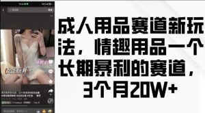 成人用品赛道新玩法,情趣用品一个长期暴利的赛道,3个月收益20个-王总副业网