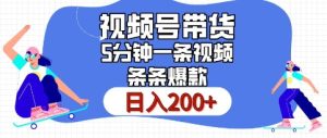 视频号橱窗带货,日入200+,条条火爆简单制作,一条视频5分钟搞定-王总副业网