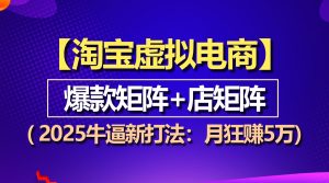 【淘宝虚拟项目】2025牛逼新打法:爆款矩阵+店矩阵,月狂赚5万-王总副业网
