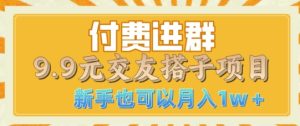 付费进群9.9交友搭子项目,熟练可矩阵操作,月收益过万-王总副业网