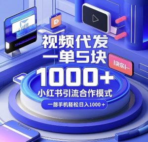 视频代发,一单5块,小红书引流合作模式,一部手机轻松日入多张-王总副业网