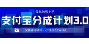 全新支付宝分成计划3.0,0门槛,全程实操,小白单号月入1W+起-王总副业网