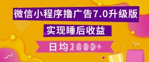 小程序撸广告最新7.0玩法,全新升级玩法,日均多张-王总副业网