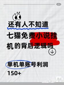 七猫免费小说无脑全自动项目,带你轻松挣钱,单机166,可放大操作-王总副业网