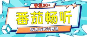 番茄畅听养机教程与玩法,单机一天30+-王总副业网