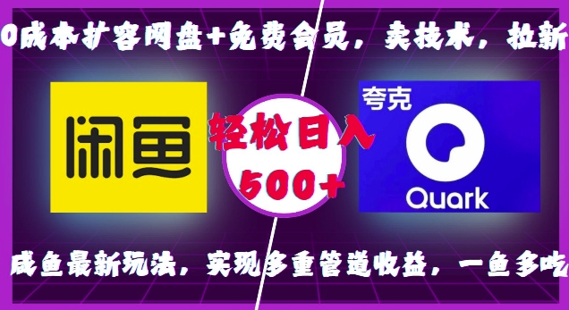 0成本扩容网盘+免费会员，卖技术，拉新，咸鱼最新玩法，实现多重管道收益，一鱼多吃，轻松日入500+-王总副业网