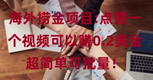 海外捞金项目点赞一个视频可以赚0.2美金,超简单可批量!-王总副业网
