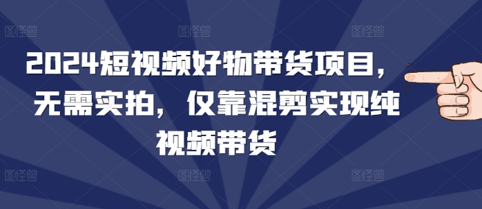 2024短视频好物带货项目，无需实拍，仅靠混剪实现纯视频带货-王总副业网