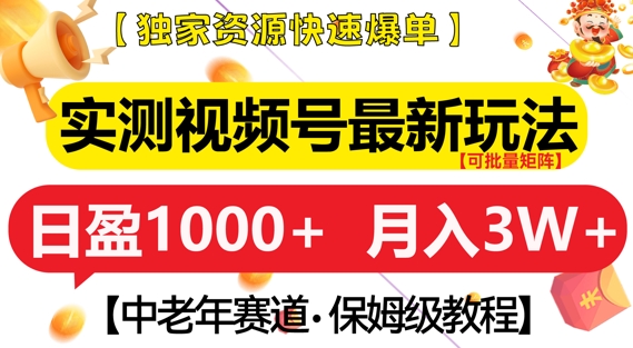 实测视频号最新玩法，中老年赛道，独家资源，月入过W+-王总副业网