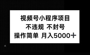 视频号小程序项目,不违规不封号,操作简单 月入5000+-王总副业网