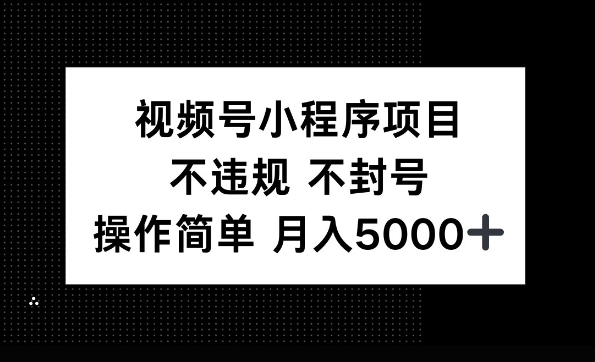 视频号小程序项目，不违规不封号，操作简单 月入5000+-王总副业网