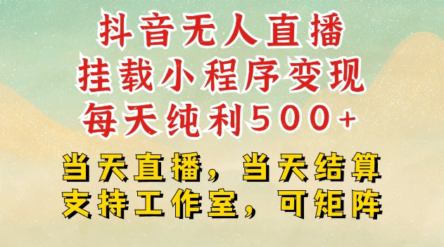 抖音无人直播挂载小程序变现，每天纯利500+，当天直播，当天结算支持工作室，可矩阵-王总副业网