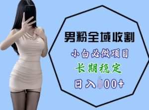 男粉项目全域收割,小白必做项目,长期稳定,稳定日入几张-王总副业网