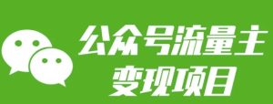 公众号流量主变现项目:每天2小时,普通人每月多挣三五千-王总副业网