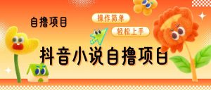 抖音小说自撸项目,操作简单轻松上手-王总副业网