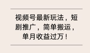 视频号最新玩法,短剧推广,简单搬运,单月收益过万-王总副业网