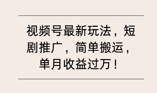 视频号最新玩法，短剧推广，简单搬运，单月收益过万-王总副业网