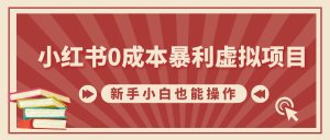 小红书0成本暴利虚拟项目,新手小白也能操作,轻松实现月入过W-王总副业网