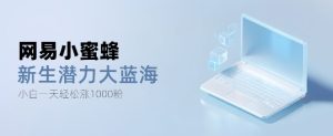 网易小蜜蜂,最新大蓝海项目,单日轻松日涨千粉-王总副业网
