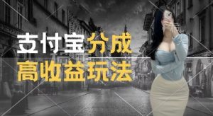支付宝分成计划新玩法,利用交通事故视频,赚收益,轻松月入过W,操作简单-王总副业网