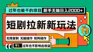 过年也能干的项目,2024年底最新短剧拉新新玩法,批量无脑操作日入2000+-王总副业网