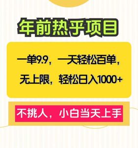一单9.9,一天百单无上限,不挑人,小白当天上手,轻松日入1000+-王总副业网