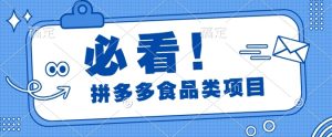 揭秘拼多多食品项目日出千单,解锁高利润运营及选品技巧,新手当天上手-王总副业网