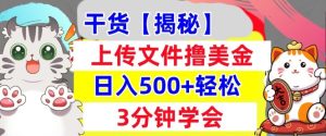 上传文件撸美金,新项目0门槛,3分钟学会,日入几张,真正被动收入-王总副业网