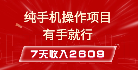 纯手机操作的小项目，有手就能做，7天收入2609+实操教程-王总副业网