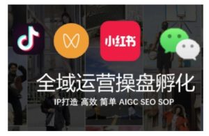 全域运营操盘(抖音+私域+小红书),IP打造高效简单-王总副业网
