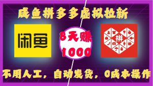 闲鱼拼多多虚拟拉新,不用人工,自动发货,0成本操作,8天收益1k-王总副业网
