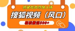 搜狐视频,新风口,1天200-500收益,抓紧吃肉!-王总副业网