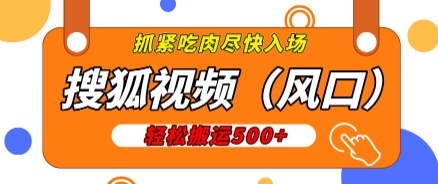 搜狐视频，新风口，1天200-500收益，抓紧吃肉!-王总副业网