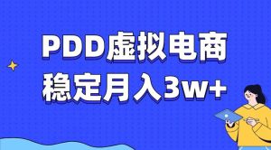 拼多多虚拟电商教程,稳定月入3w+,最适合普通人的电商项目-王总副业网
