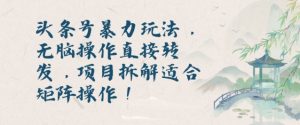 头条号暴力玩法,无脑操作直接转发,项目拆解适合矩阵操作!-王总副业网