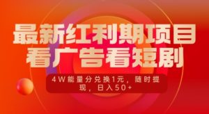 最新红利期项目,看广告看短剧,4W能量分兑换1元,日入50+-王总副业网