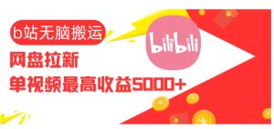视频无脑搬运b站网盘拉新,单视频最高收益5k+-王总副业网