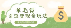 羊毛党引流变现全玩法,年轻市场引流必备-王总副业网