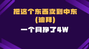 跨境电商一个人在家把货卖到迪拜,暴力项目拆解-王总副业网