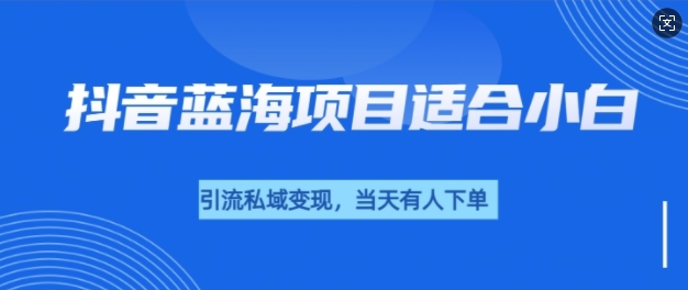 抖音蓝海小赛道私域变现项目，单价9.9单天变现100+，实操玩法分享给你-王总副业网