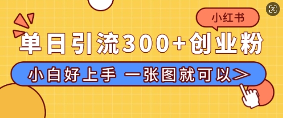 小红书单日引流300+创业粉，“简单粗暴”引流法，小白好上手，私信回不完-王总副业网