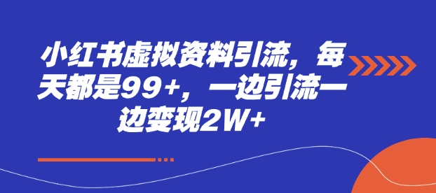 小红书虚拟资料引流，每天都是99+，一边引流一边变现2W+-王总副业网