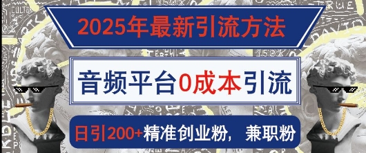 2025年最新引流方法，音频平台0成本引流，日引200+精准创业粉-王总副业网