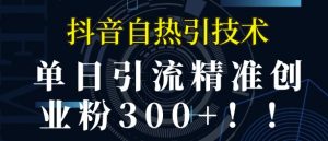 抖音自热引流,单日引流精准创业粉300+-王总副业网