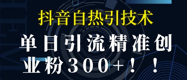 抖音自热引流，单日引流精准创业粉300+-王总副业网