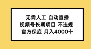 无需人工自动直播,视频号长期项目不违规,官方保底月入4000左右-王总副业网