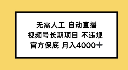 无需人工自动直播，视频号长期项目不违规，官方保底月入4000左右-王总副业网