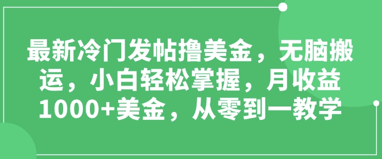 最新冷门发帖撸美金，无脑搬运，小白轻松掌握，月收益1000+美金，从零到一教学-王总副业网