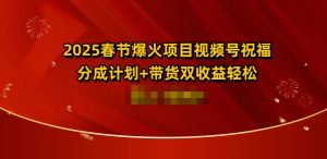 2025春节爆火项目视频号祝福,分成计划+带货双收益,轻松日入多张-王总副业网
